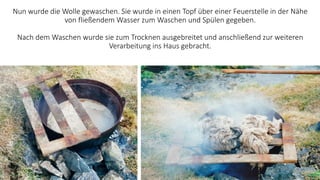 Nun wurde die Wolle gewaschen. Sie wurde in einen Topf über einer Feuerstelle in der Nähe
von fließendem Wasser zum Waschen und Spülen gegeben.
Nach dem Waschen wurde sie zum Trocknen ausgebreitet und anschließend zur weiteren
Verarbeitung ins Haus gebracht.
 