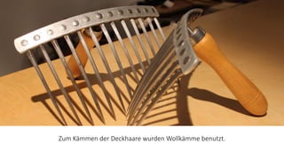 Z​um Kämmen der Deckhaare​ wurden Wollkämme benutzt.
 
