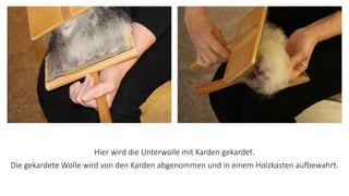 Hier wird die Unterwolle mit Karden gekardet.
Die gekardete Wolle wird von den Karden abgenommen und in einem Holzkasten aufbewahrt.
 