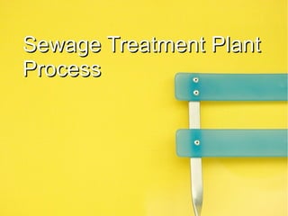 Sewage Treatment PlantSewage Treatment Plant
ProcessProcess
 