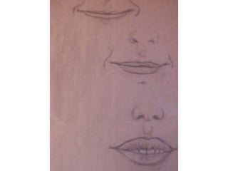 Ulls, nassos, boques i orelles