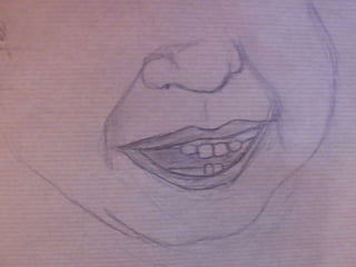 Ulls, nassos, boques i orelles