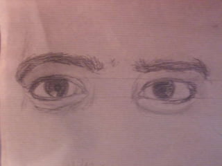 Ulls, nassos, boques i orelles