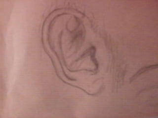 Ulls, nassos, boques i orelles