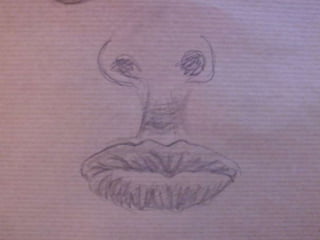 Ulls, nassos, boques i orelles