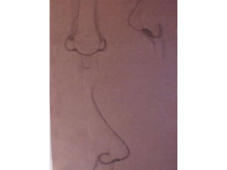 Ulls, nassos, boques i orelles