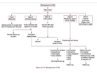 Cin | PPTX