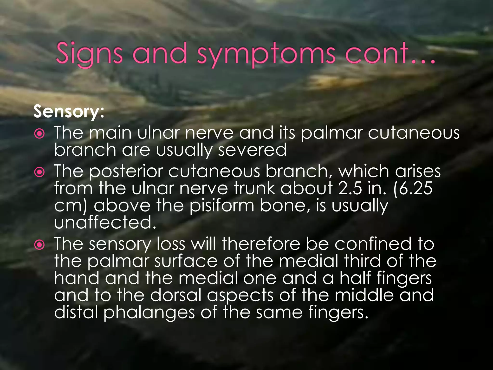 Sensory:
 The main ulnar nerve and its palmar cutaneous
branch are usually severed
 The posterior cutaneous branch, which arises
from the ulnar nerve trunk about 2.5 in. (6.25
cm) above the pisiform bone, is usually
unaffected.
 The sensory loss will therefore be confined to
the palmar surface of the medial third of the
hand and the medial one and a half fingers
and to the dorsal aspects of the middle and
distal phalanges of the same fingers.
 