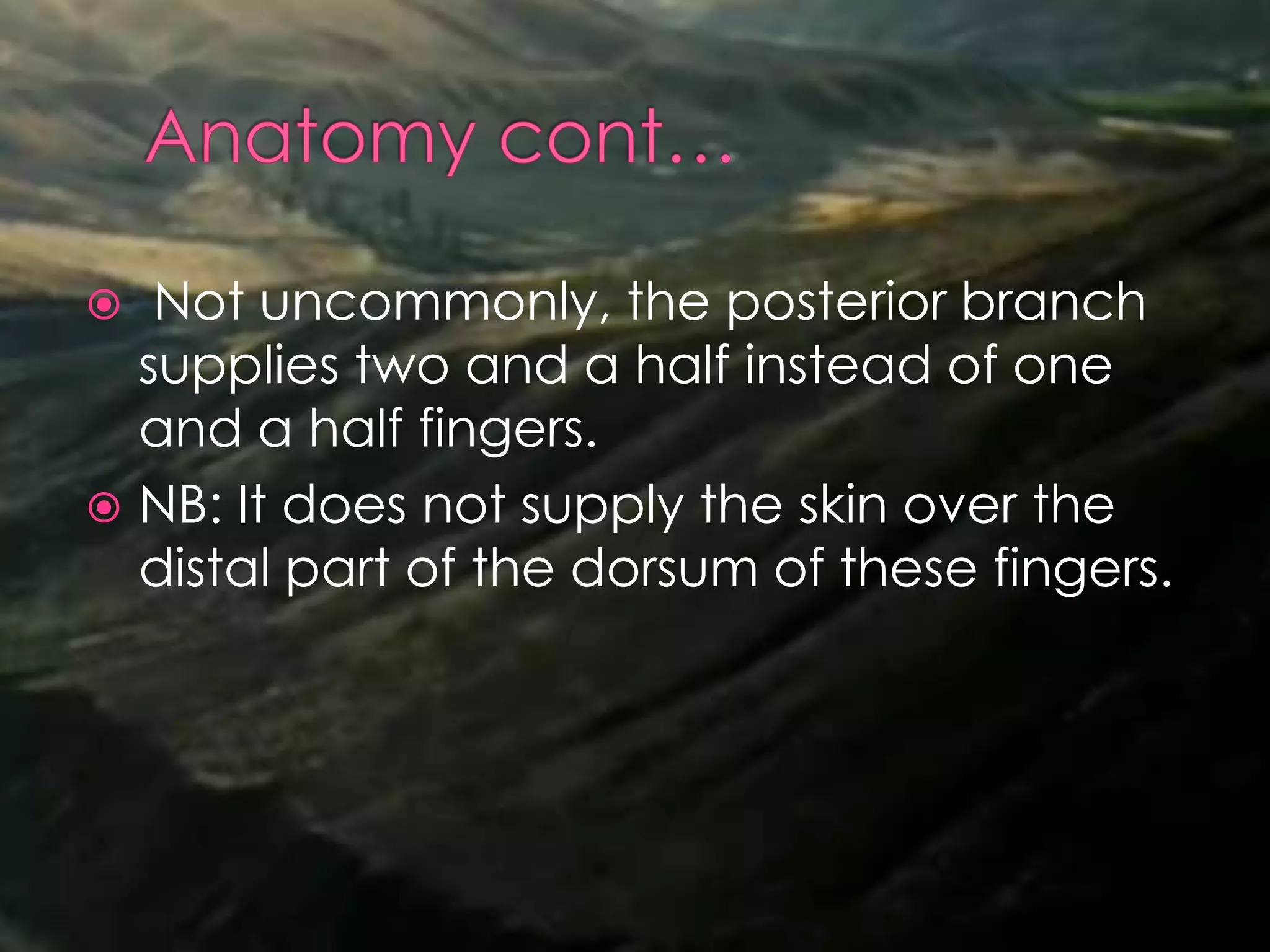 Not uncommonly, the posterior branch
supplies two and a half instead of one
and a half fingers.
 NB: It does not supply the skin over the
distal part of the dorsum of these fingers.
 