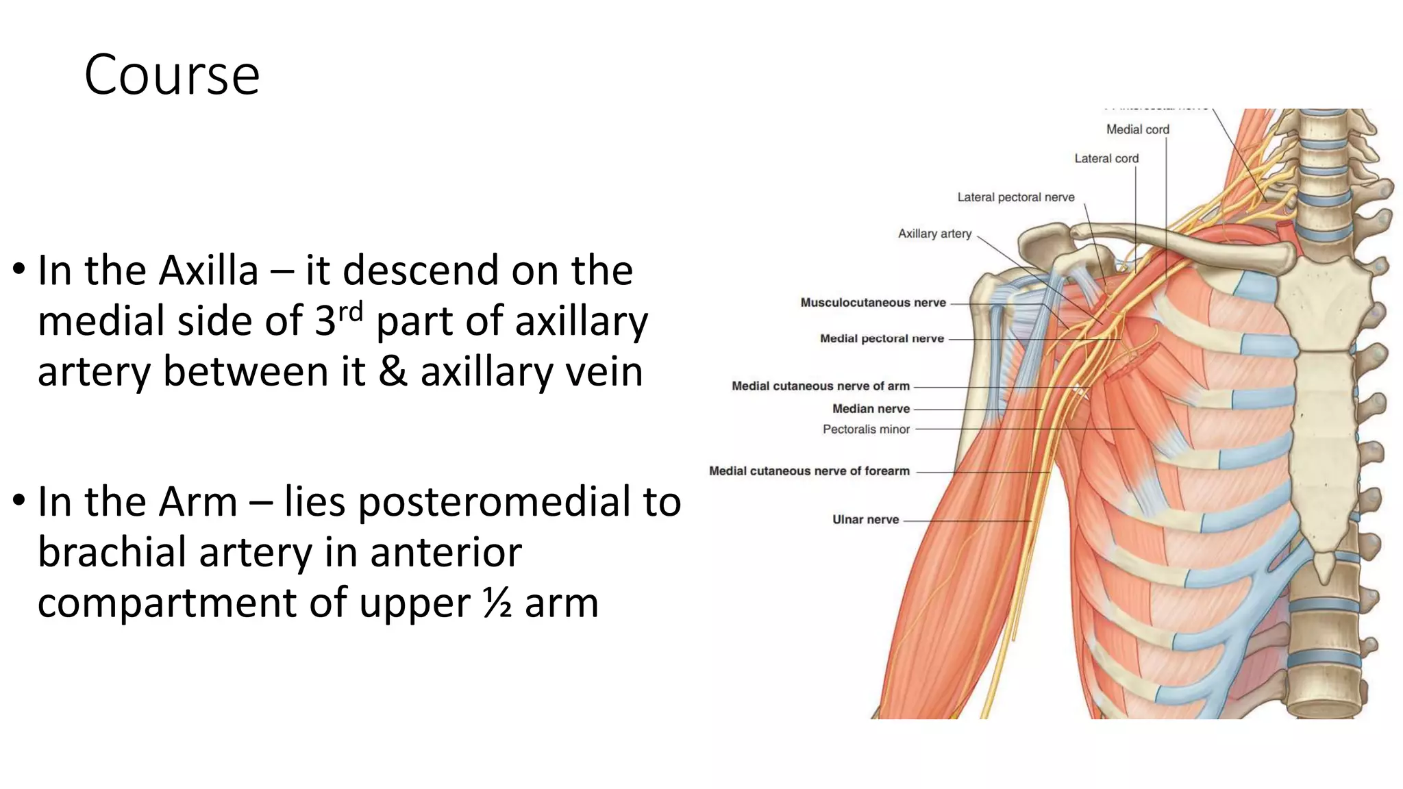 Ulnar nerve injury | PPTX