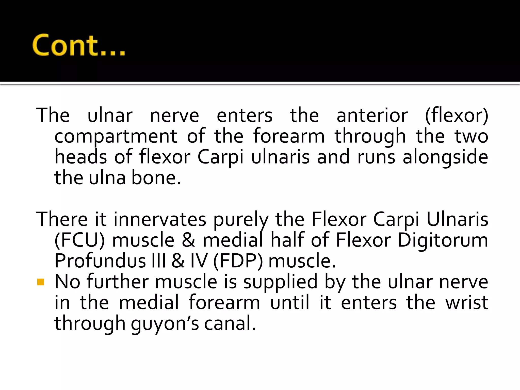 The ulnar nerve enters the anterior (flexor)
compartment of the forearm through the two
heads of flexor Carpi ulnaris and runs alongside
the ulna bone.
There it innervates purely the Flexor Carpi Ulnaris
(FCU) muscle & medial half of Flexor Digitorum
Profundus III & IV (FDP) muscle.
 No further muscle is supplied by the ulnar nerve
in the medial forearm until it enters the wrist
through guyon’s canal.
 