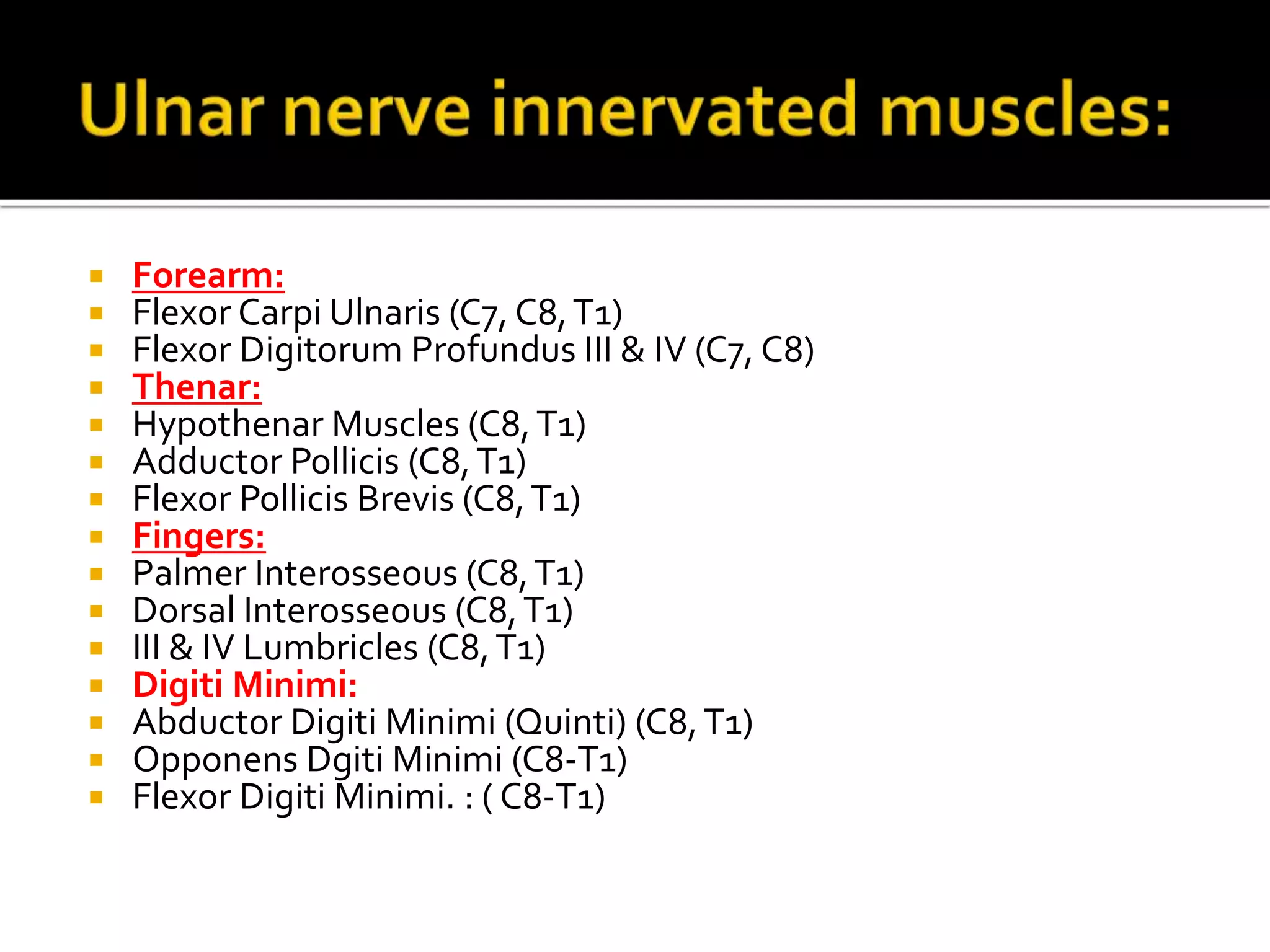  Forearm:
 Flexor Carpi Ulnaris (C7, C8,T1)
 Flexor Digitorum Profundus III & IV (C7, C8)
 Thenar:
 Hypothenar Muscles (C8,T1)
 Adductor Pollicis (C8,T1)
 Flexor Pollicis Brevis (C8,T1)
 Fingers:
 Palmer Interosseous (C8,T1)
 Dorsal Interosseous (C8,T1)
 III & IV Lumbricles (C8,T1)
 Digiti Minimi:
 Abductor Digiti Minimi (Quinti) (C8,T1)
 Opponens Dgiti Minimi (C8-T1)
 Flexor Digiti Minimi. : ( C8-T1)
 