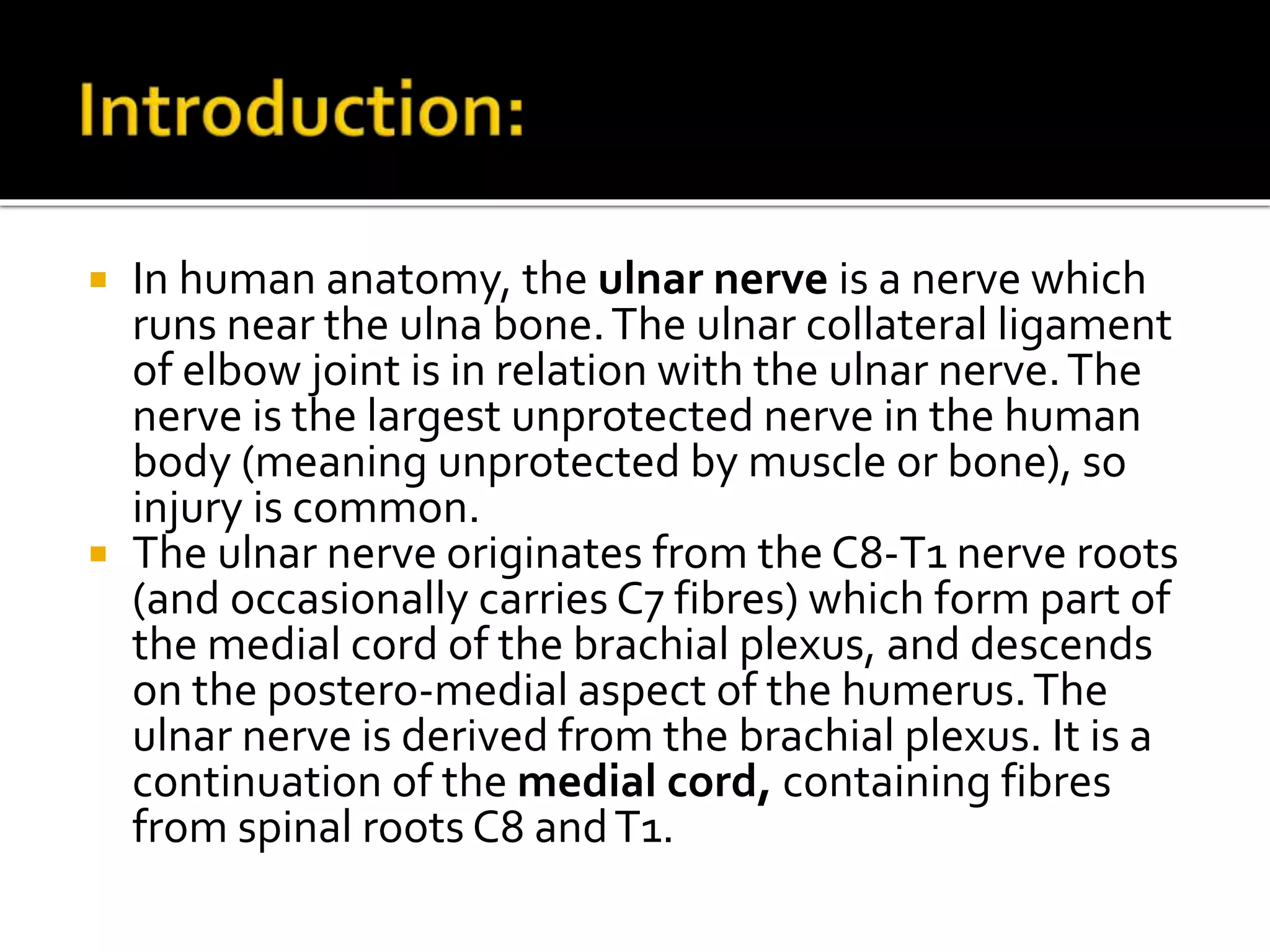  In human anatomy, the ulnar nerve is a nerve which
runs near the ulna bone.The ulnar collateral ligament
of elbow joint is in relation with the ulnar nerve.The
nerve is the largest unprotected nerve in the human
body (meaning unprotected by muscle or bone), so
injury is common.
 The ulnar nerve originates from the C8-T1 nerve roots
(and occasionally carries C7 fibres) which form part of
the medial cord of the brachial plexus, and descends
on the postero-medial aspect of the humerus.The
ulnar nerve is derived from the brachial plexus. It is a
continuation of the medial cord, containing fibres
from spinal roots C8 andT1.
 