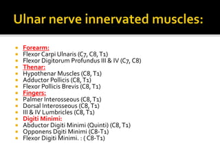  Forearm:
 Flexor Carpi Ulnaris (C7, C8,T1)
 Flexor Digitorum Profundus III & IV (C7, C8)
 Thenar:
 Hypothenar Muscles (C8,T1)
 Adductor Pollicis (C8,T1)
 Flexor Pollicis Brevis (C8,T1)
 Fingers:
 Palmer Interosseous (C8,T1)
 Dorsal Interosseous (C8,T1)
 III & IV Lumbricles (C8,T1)
 Digiti Minimi:
 Abductor Digiti Minimi (Quinti) (C8,T1)
 Opponens Dgiti Minimi (C8-T1)
 Flexor Digiti Minimi. : ( C8-T1)
 