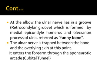  At the elbow the ulnar nerve lies in a groove
(Retrocondylar groove) which is formed by
medial epicondyle humerus and olecranon
process of ulna, referred as "funny bone".
 The ulnar nerve is trapped between the bone
and the overlying skin at this point.
It enters the forearm through the aponeurotic
arcade (CubitalTunnel)
 