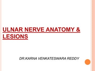 ULNAR NERVE ANATOMY &
LESIONS
DR.KARNA VENKATESWARA REDDY
 