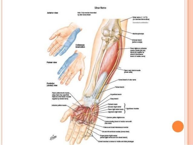 erb duchenne