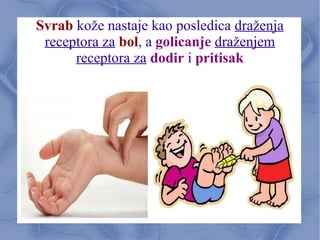 Svrab kože nastaje kao posledica draženja
receptora za bol, a golicanje draženjem
receptora za dodir i pritisak
 
