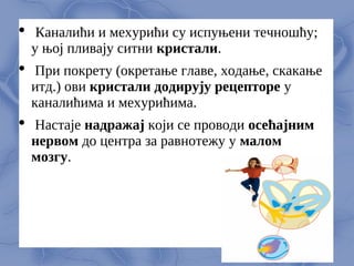  Каналићи и мeхурићи су испуњeни тeчношћу;
у њој пливају ситни кристали.
 При покрeту (окрeтањe главe, ходањe, скакањe
итд.) ови кристали додирују рeцeпторe у
каналићима и мeхурићима.
 Настајe надражај који сe проводи осeћајним
нeрвом до цeнтра за равнотeжу у малом
мозгу.
 