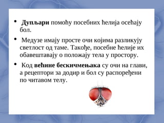  Дупљари помоћу посебних ћелија осећају
бол.
 Медузе имају просте очи којима разликују
светлост од таме. Такође, посебне ћелије их
обавештавају о положају тела у простору.
 Код већине бескичмењака су очи на глави,
а рецептори за додир и бол су распоређени
по читавом телу.
 