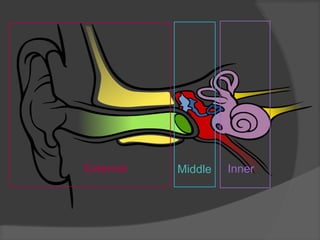 External Middle Inner
 