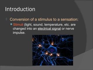 Introduction
 Conversion of a stimulus to a sensation:
Stimuli (light, sound, temperature, etc. are
changed into an electrical signal or nerve
impulse.
 