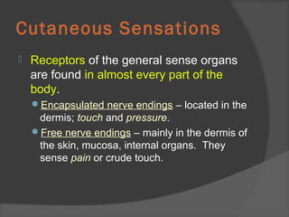 Cutaneous Sensations
 Receptors of the general sense organs
are found in almost every part of the
body.
Encapsulated nerve endings – located in the
dermis; touch and pressure.
Free nerve endings – mainly in the dermis of
the skin, mucosa, internal organs. They
sense pain or crude touch.
 