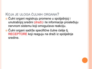 KOJA JE ULOGA ČULNIH ORGANA?
 Čulni organi registruju promene u spoljašnjoj i
unutrašnjoj sredini (draži) i te informacije prosleđuju
nervnom sistemu koji omogućava reakciju.
 Čulni organi sadrže specifične čulne ćelije tj.
RECEPTORE koji reaguju na draži iz spoljašnje
sredine.
 