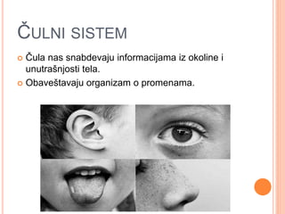 ČULNI SISTEM
 Čula nas snabdevaju informacijama iz okoline i
unutrašnjosti tela.
 Obaveštavaju organizam o promenama.
 
