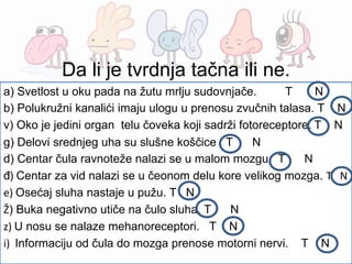 Da li je tvrdnja tačna ili ne.
a) Svetlost u oku pada na žutu mrlju sudovnjače. T N
b) Polukružni kanalići imaju ulogu u prenosu zvučnih talasa. T N
v) Oko je jedini organ telu čoveka koji sadrži fotoreceptore. T N
g) Delovi srednjeg uha su slušne koščice T N
d) Centar čula ravnoteže nalazi se u malom mozgu T N
đ) Centar za vid nalazi se u čeonom delu kore velikog mozga. T N
e) Osećaj sluha nastaje u pužu. T N
Ž) Buka negativno utiče na čulo sluha. T N
z) U nosu se nalaze mehanoreceptori. T N
i) Informaciju od čula do mozga prenose motorni nervi. T N
 