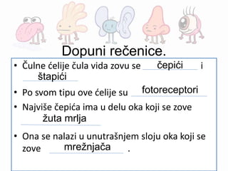 Dopuni rečenice.
• Čulne ćelije čula vida zovu se i
• Po svom tipu ove ćelije su
• Najviše čepića ima u delu oka koji se zove
• Ona se nalazi u unutrašnjem sloju oka koji se
zove .
čepići
štapići
fotoreceptori
žuta mrlja
mrežnjača
 