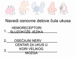 Navedi osnovne delove čula ukusa
1.
2.
3.
HEMORECEPTORI
SLUZOKOŽE JEZIKA
OSEĆAJNI NERV
CENTAR ZA UKUS U
KORI VELIKOG
MOZGA
 