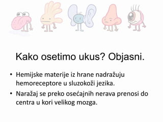 Kako osetimo ukus? Objasni.
• Hemijske materije iz hrane nadražuju
hemoreceptore u sluzokoži jezika.
• Naražaj se preko osećajnih nerava prenosi do
centra u kori velikog mozga.
 