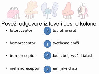 Poveži odgovore iz leve i desne kolone.
• fotoreceptor
• hemoreceptor
• termoreceptor
• mehanoreceptor
( ) toplotne draži
( ) svetlosne draži
( ) dodir, bol, zvučni talasi
( ) hemijske draži
 