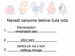 Navedi osnovne delove čula vida
1.
2.
3.
fotoreceptori
mrežnjače oka
očni nerv
centra za vid u kori
velikog mozga
 
