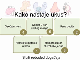 Složi redosled događaja
Hemoreceptori
sluzokože jezika
Centar u kori
velikog mozga
Osećajni nerv
Hemijske materije
u hrani
Usna duplja
3
54
1
2
Kako nastaje ukus?
 