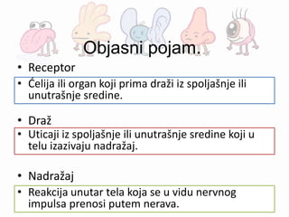 Objasni pojam.
• Receptor
• Draž
• Nadražaj
• Ćelija ili organ koji prima draži iz spoljašnje ili
unutrašnje sredine.
• Uticaji iz spoljašnje ili unutrašnje sredine koji u
telu izazivaju nadražaj.
• Reakcija unutar tela koja se u vidu nervnog
impulsa prenosi putem nerava.
 
