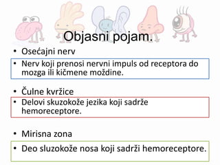 Objasni pojam.
• Osećajni nerv
• Čulne kvržice
• Mirisna zona
• Nerv koji prenosi nervni impuls od receptora do
mozga ili kičmene moždine.
• Delovi skuzokože jezika koji sadrže
hemoreceptore.
• Deo sluzokože nosa koji sadrži hemoreceptore.
 
