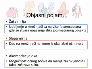 Objasni pojam.
• Žuta mrlja
• Slepa mrlja
• Akomodacija oka
• Udbljenje u mrežnjači sa najviše fotoreceptora
gde se stvara najjasnija slika posmatranog objekta
• Deo na mrežnjači na kome iz oka izlazi očni nerv
• Mogućnost očnog sočiva da menja zakrivljenost i
tako izoštrava sliku.
 