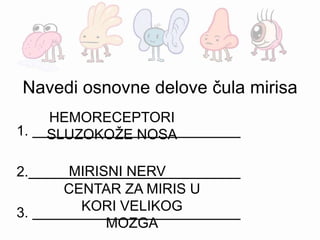 Navedi osnovne delove čula mirisa
1.
2.
3.
HEMORECEPTORI
SLUZOKOŽE NOSA
MIRISNI NERV
CENTAR ZA MIRIS U
KORI VELIKOG
MOZGA
 