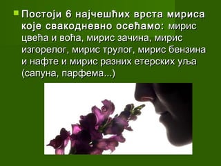  Постоји  6 најчешћих врста мириса
 које свакодневно осећамо: мирис
 цвећа и воћа, мирис зачина, мирис
 изгорелог, мирис трулог, мирис бензина
 и нафте и мирис разних етерских уља
 (сапуна, парфема...)
 