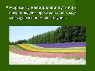  Мириси су невидљиви  путници
 непрегледних пространстава, који
 мењају расположења људи...
 