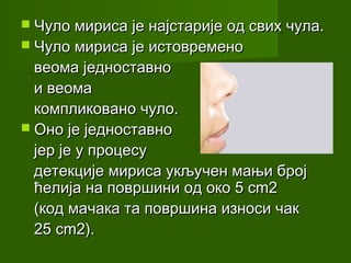  Чуло мириса је најстарије од свих чула.
 Чуло мириса је истовремено
  веома једноставно
  и веома
  компликовано чуло.
 Оно је једноставно
  јер је у процесу
  детекције мириса укључен мањи број
  ћелија на површини од око 5 cm2
  (код мачака та површина износи чак
  25 cm2).
 