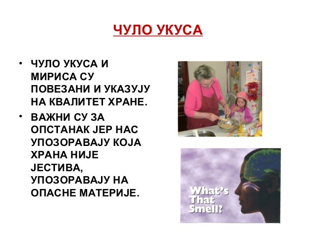 Čulo mirisa i ukusa
