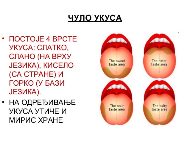 Čulo mirisa i ukusa