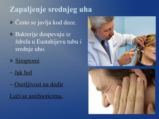 Zapaljenje srednjeg uha
» Često se javlja kod dece.
» Bakterije dospevaju iz
ždrela u Eustahijevu tubu i
srednje uho.
» Simptomi
~ Jak bol
~ Osetljivost na dodir
Leči se antibioticima.
 