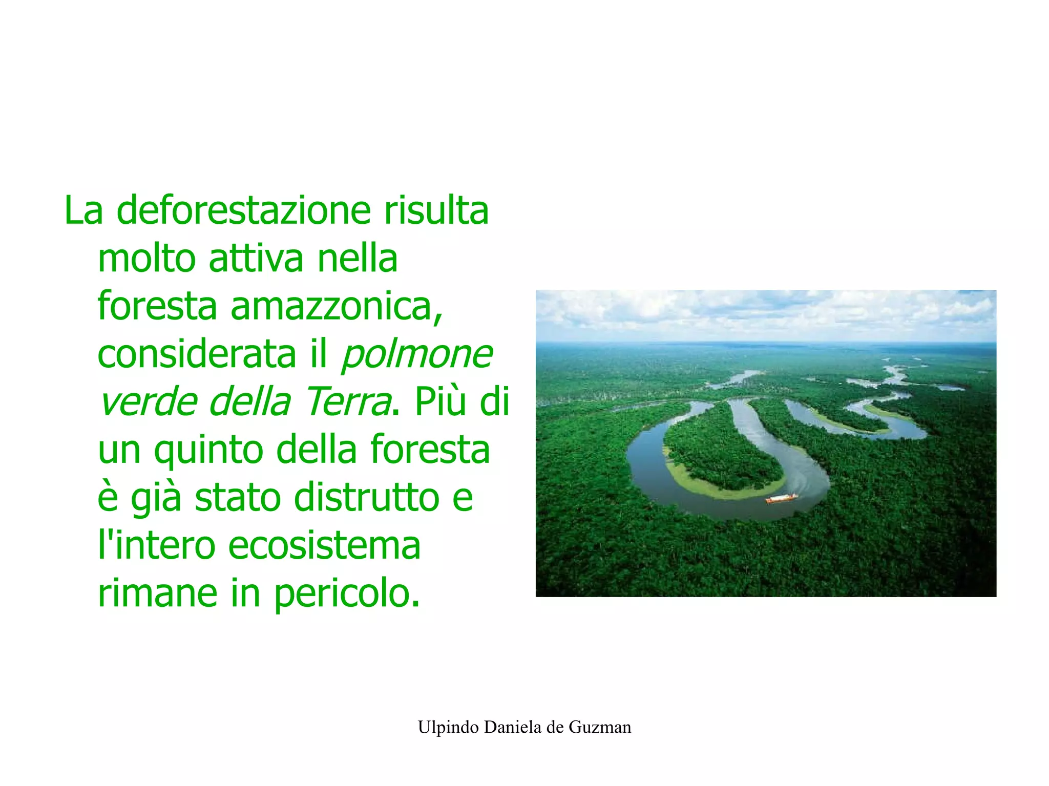 Report fronti di deforestazione ITA v2.indd, image size:2048x1535