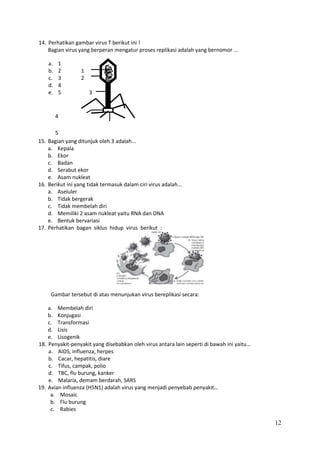 14. Perhatikan gambar virus T berikut ini !
Bagian virus yang berperan mengatur proses replikasi adalah yang bernomor ...
a.
b.
c.
d.
e.

1
2
3
4
5

1
2
3

4
5
15. Bagian yang ditunjuk oleh 3 adalah...
a. Kepala
b. Ekor
c. Badan
d. Serabut ekor
e. Asam nukleat
16. Berikut ini yang tidak termasuk dalam ciri virus adalah...
a. Aseluler
b. Tidak bergerak
c. Tidak membelah diri
d. Memiliki 2 asam nukleat yaitu RNA dan DNA
e. Bentuk bervariasi
17. Perhatikan bagan siklus hidup virus berikut :

Gambar tersebut di atas menunjukan virus bereplikasi secara:
a. Membelah diri
b. Konjugasi
c. Transformasi
d. Lisis
e. Lisogenik
18. Penyakit-penyakit yang disebabkan oleh virus antara lain seperti di bawah ini yaitu...
a. AIDS, influenza, herpes
b. Cacar, hepatitis, diare
c. Tifus, campak, polio
d. TBC, flu burung, kanker
e. Malaria, demam berdarah, SARS
19. Avian influenza (H5N1) adalah virus yang menjadi penyebab penyakit…
a. Mosaic
b. Flu burung
c. Rabies

12

 