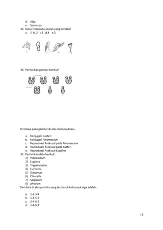d. Alga
e. Sporozoa
33. Kelas rhizopoda adalah yang berlabel
a. 1 b. 2 c.3 d.4 e.5

34. Perhatikan gambar berikut!

Peristiwa pada gambar di atas menunjukkan…
a. Konjugasi bakteri
b. Konjugasi Paramecium
c. Reproduksi Aseksual pada Paramecium
d. Reproduksi Aseksual pada bakteri
e. Reproduksi Aseksual Euglena
35. Perhatikan data berikut!
1) Plasmodium
2) Euglena
3) Trypanosome
4) Euchema
5) Diatomae
6) Chlorella
7) Sargasum
8) phytium
Dari data di atas protista yang termasuk kelompok alga adalah…
a.
b.
c.
d.

1-2-3-4
1-3-5-7
2-4-6-7
1-4-5-7

15

 