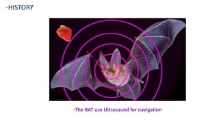 -The BAT use Ultrasound for navigation
-HISTORY
 